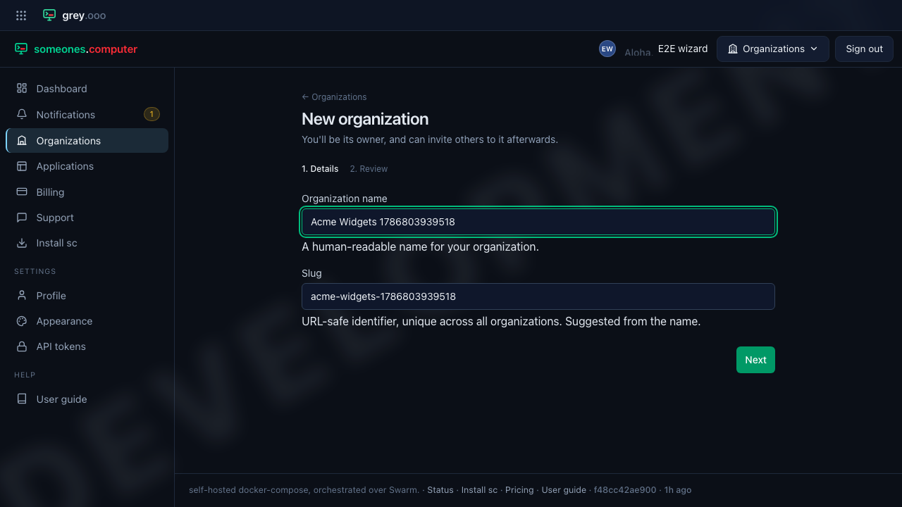New organization โ Details step, filled in
